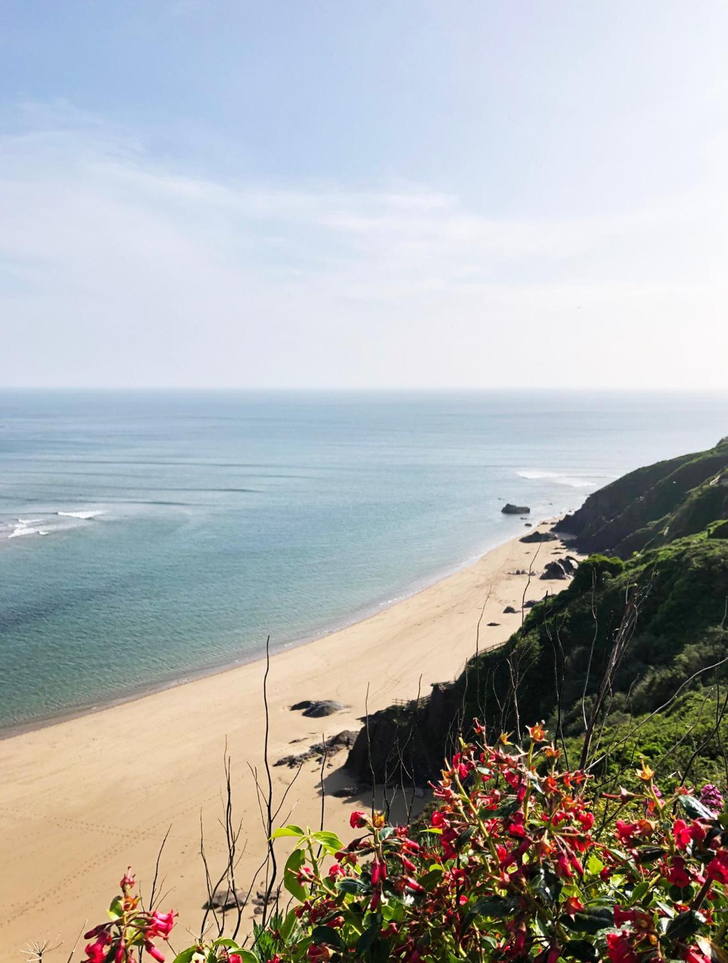 Cosy Beachside Cottage Bigbury Kültér fotó